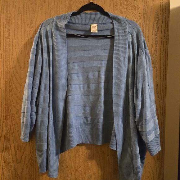 Faded Glory Blue Striped Cardigan Sweater - Picture 1 of 3